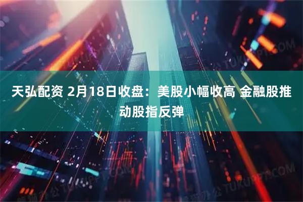天弘配资 2月18日收盘：美股小幅收高 金融股推动股指反弹