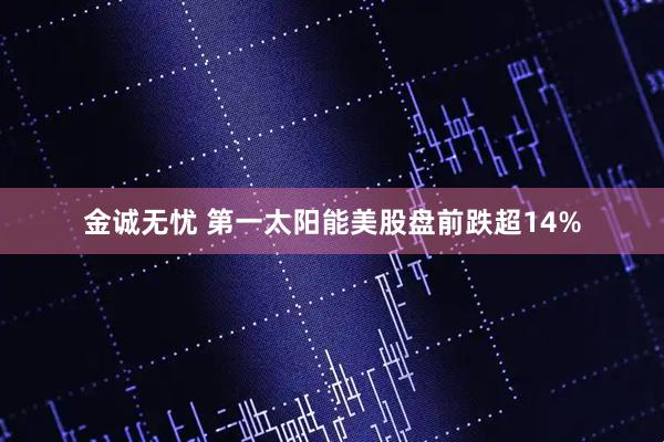 金诚无忧 第一太阳能美股盘前跌超14%