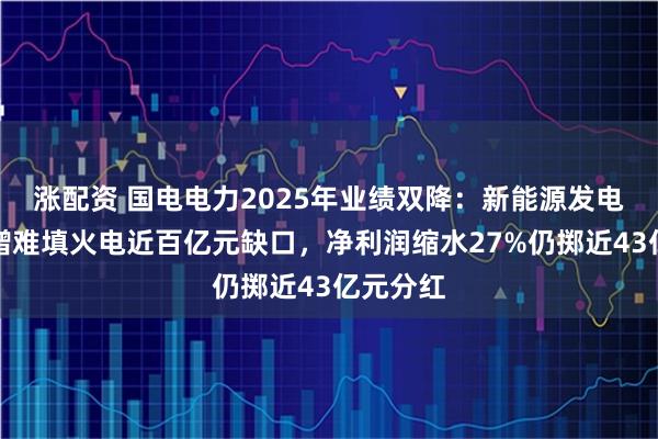 涨配资 国电电力2025年业绩双降：新能源发电逆势大增难填火电近百亿元缺口，净利润缩水27%仍掷近43亿元分红