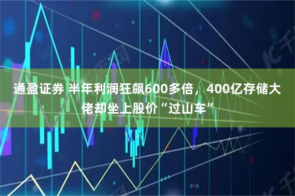 通盈证券 半年利润狂飙600多倍,400亿存储大佬却坐上股价“过山车”